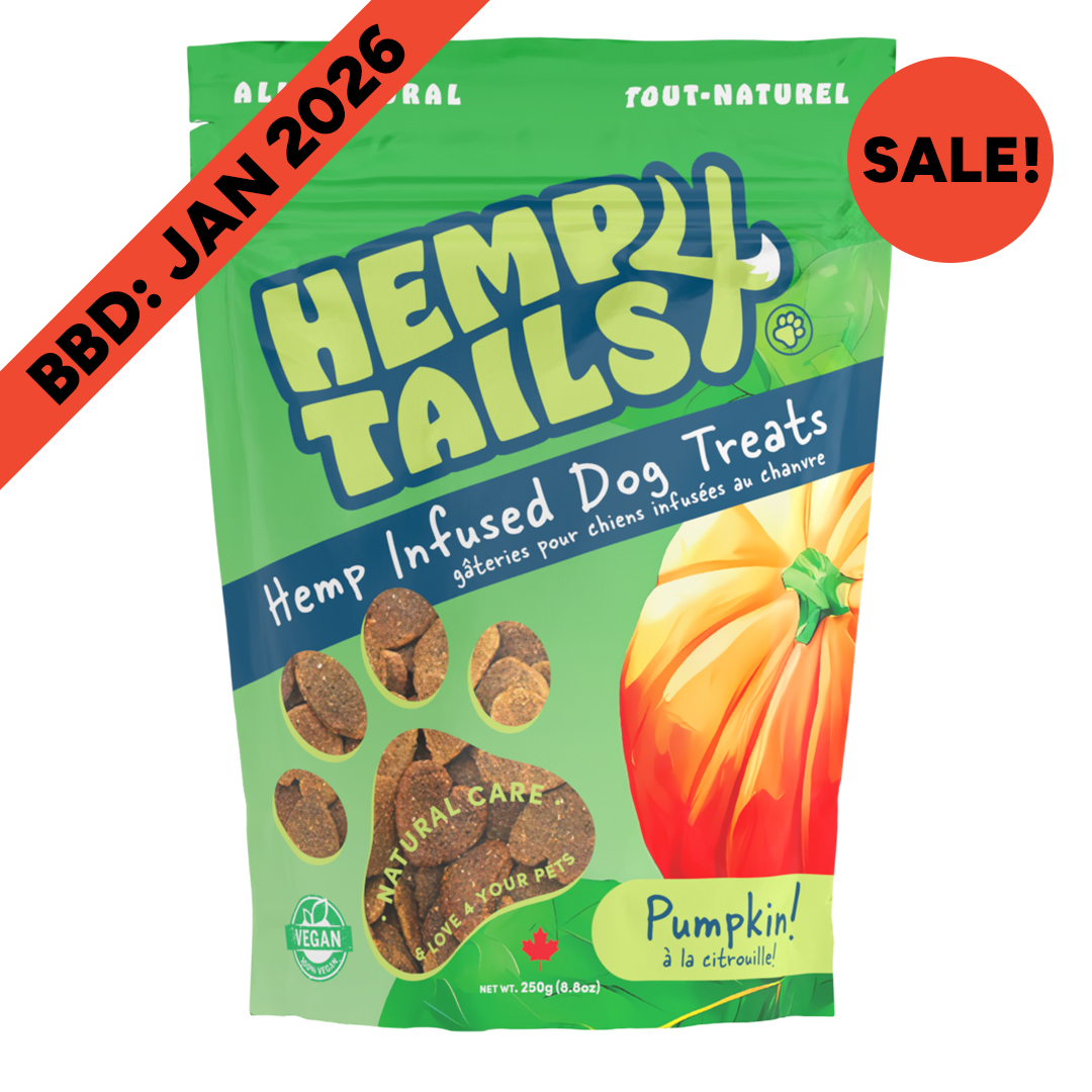 Hemp Dog Treats - PUMPKIN