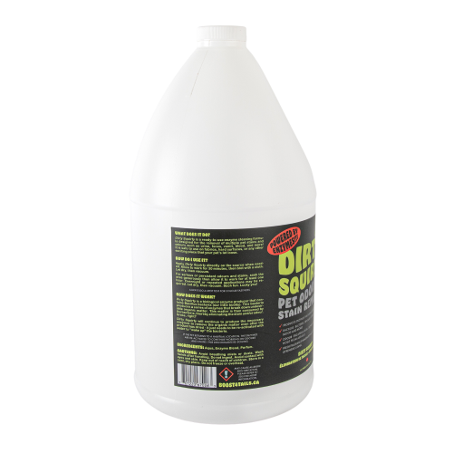 Dirty Squirty - 4 Litre Refill - Image 2